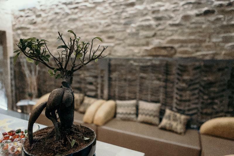 Via Aetcal Hotel & Wellness Santiago de Compostela Kültér fotó